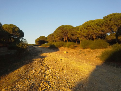 Andalusien05 Andalusien05