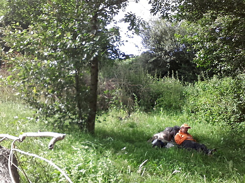 Basse Normandie11 Basse Normandie11