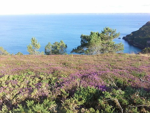 Bretagne06 Bretagne06