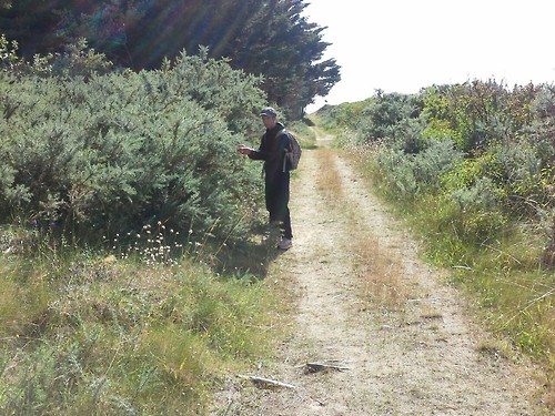 Bretagne07 Bretagne07