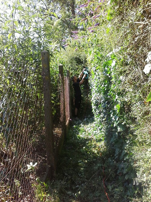 Bretagne22 Bretagne22