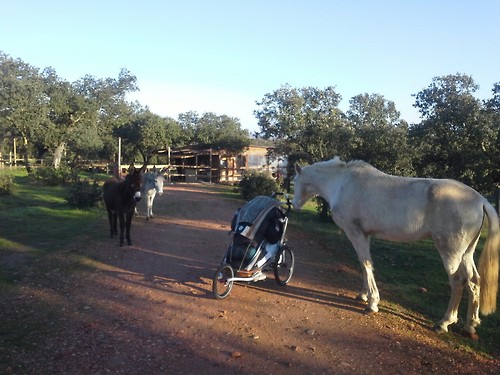 Extremadura03 Extremadura03