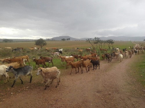 Extremadura04 Extremadura04