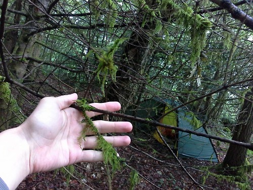 Frankreich_Limousin_07 Frankreich_Limousin_07