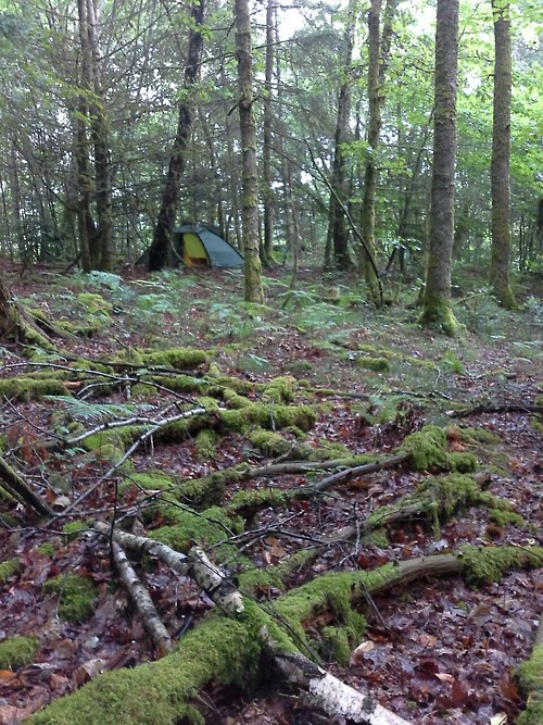 Frankreich_Limousin_08 Frankreich_Limousin_08