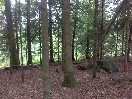 Frankreich_Limousin_16 Frankreich_Limousin_16