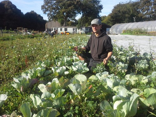 Grossbritanien02 Grossbritanien02