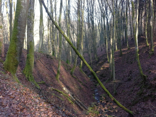 Heimaturlaub21 Heimaturlaub21