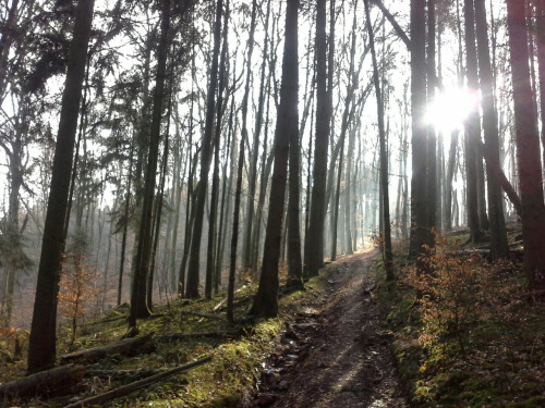 Heimaturlaub24 Heimaturlaub24