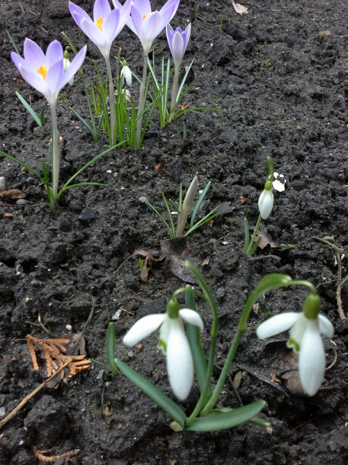 Heimaturlaub27 Heimaturlaub27