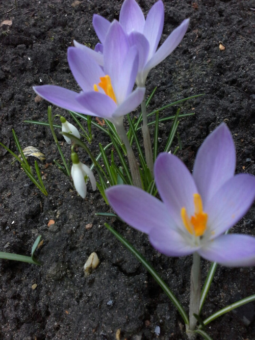 Heimaturlaub28 Heimaturlaub28