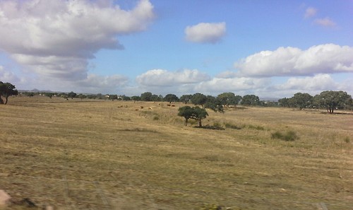 Italien161 Italien161