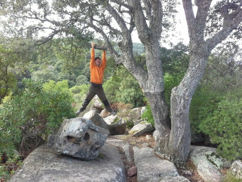 Italien165 Italien165