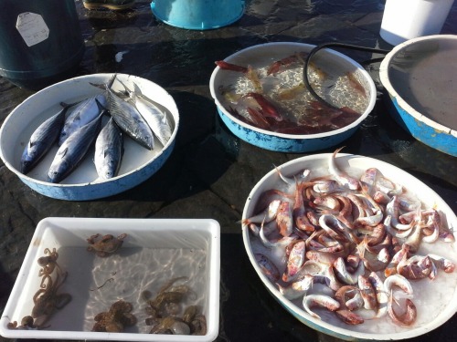 Italien192 Italien192