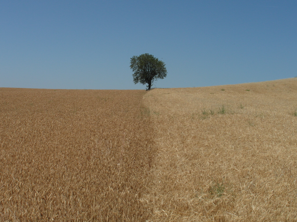 Jakobsweg18 Jakobsweg18