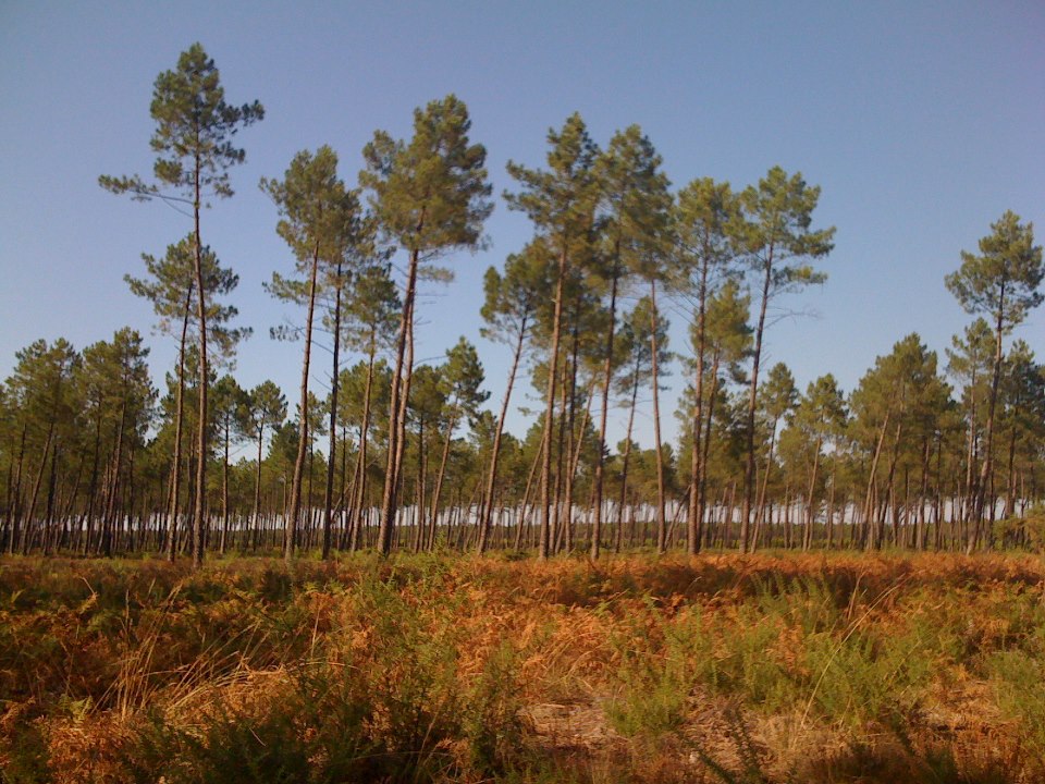 Jakobsweg32 Jakobsweg32