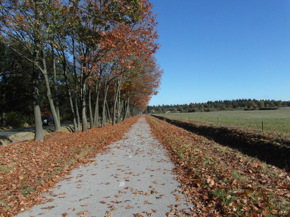 Jakobsweg37 Jakobsweg37