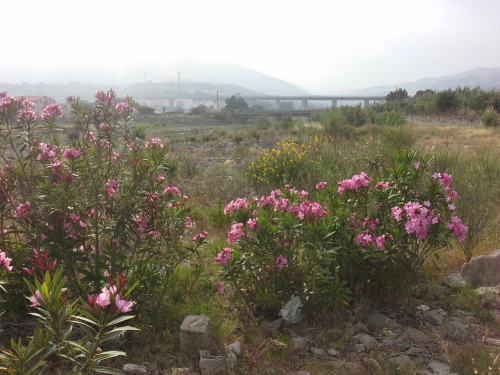 Kalabrien045 Kalabrien045