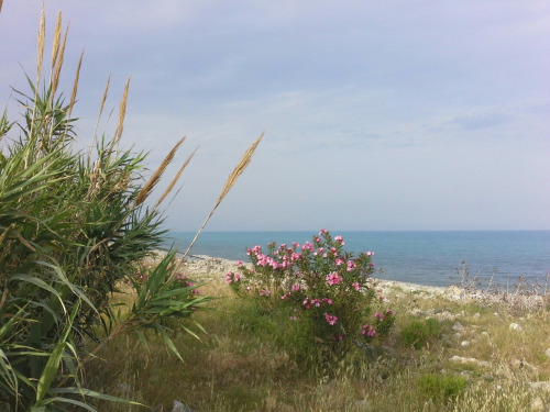 Kalabrien047 Kalabrien047