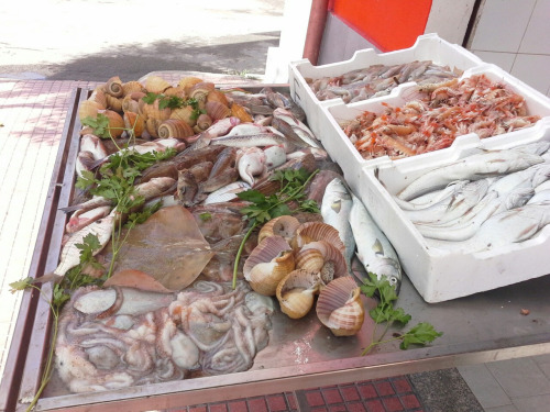 Kalabrien048 Kalabrien048