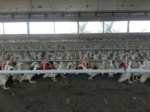 Pays de la Loire24 Pays de la Loire24