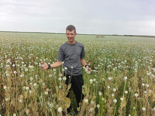 Pays de la Loire25 Pays de la Loire25