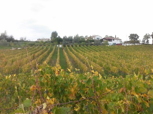 SanMarino01 SanMarino01