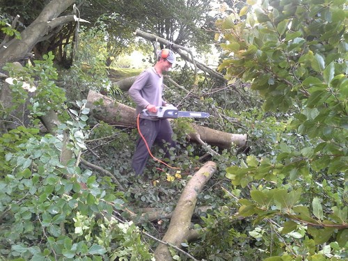 Schottland25 Schottland25