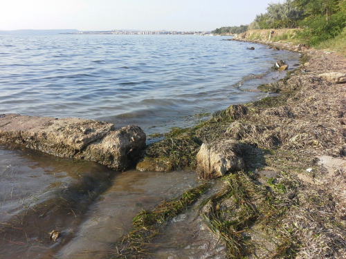 Tuerkei052 Tuerkei052