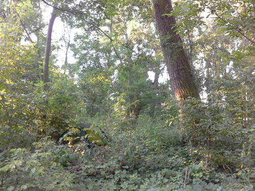 Tuerkei080 Tuerkei080