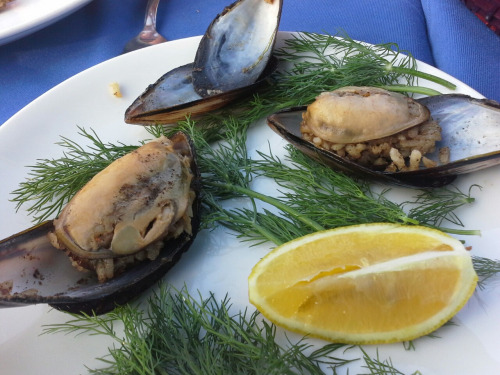 Tuerkei090 Tuerkei090