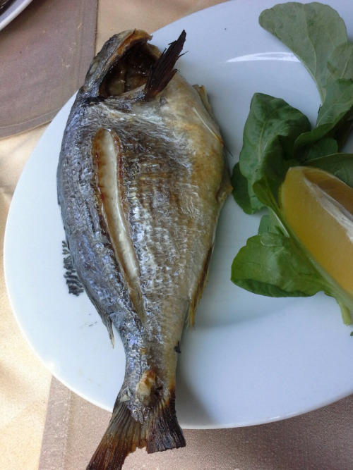 Tuerkei094 Tuerkei094