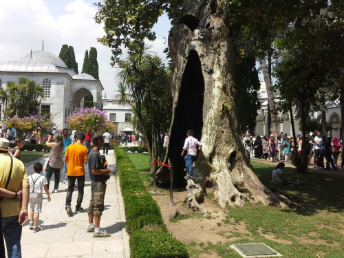 Tuerkei105 Tuerkei105