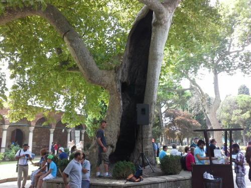 Tuerkei106 Tuerkei106