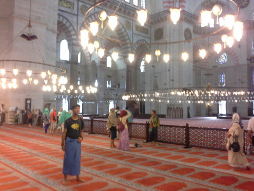 Tuerkei131 Tuerkei131