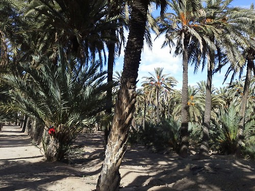 Valencia02 Valencia02