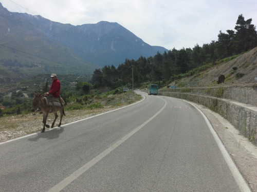 albanien31 albanien31