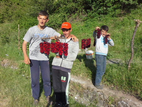 albanien57 albanien57