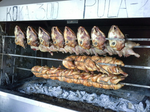 albanien72 albanien72