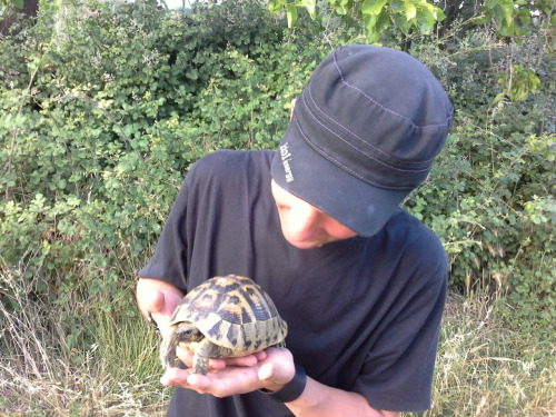 albanien81 albanien81