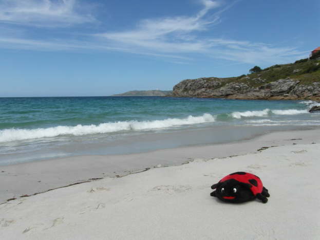 jakobsweg spanien 171