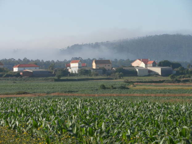 jakobsweg spanien 177