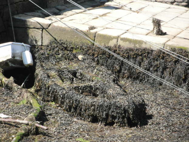 jakobsweg spanien 213