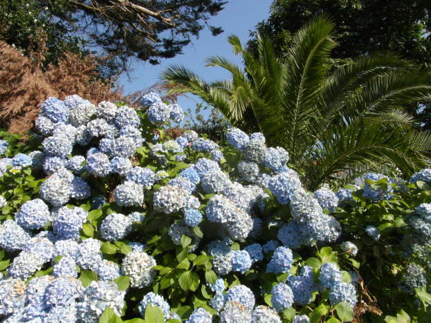 jakobsweg spanien 224