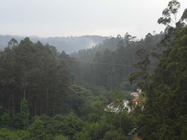 jakobsweg spanien 230