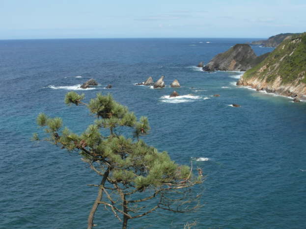 jakobsweg spanien 258