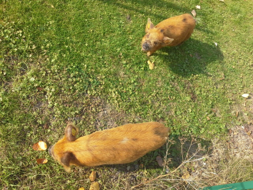 deutschland006 deutschland006