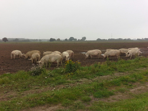 deutschland021 deutschland021