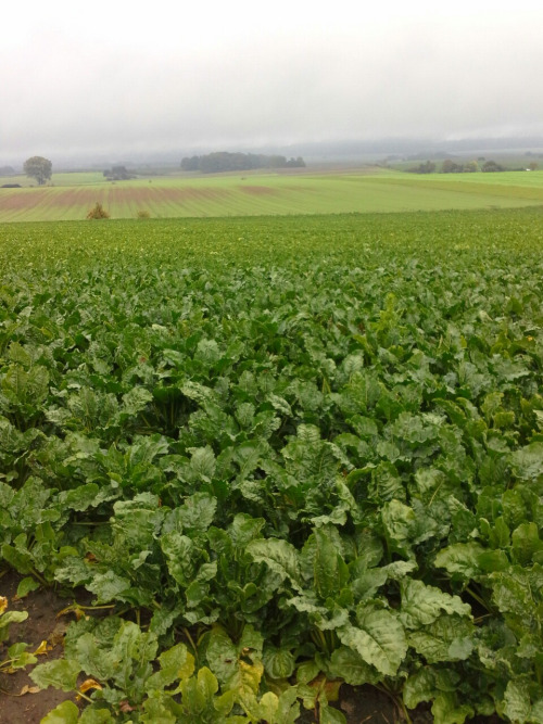 deutschland045 deutschland045