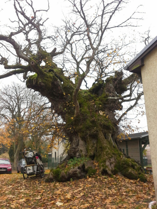 deutschland080 deutschland080